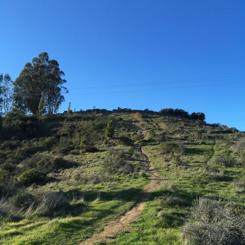 Three children run up a dirt path that leads up to a tall hill. The dirt path is surrounded by green grass and trees, and beyond the hill is a cloudless blue horizon.