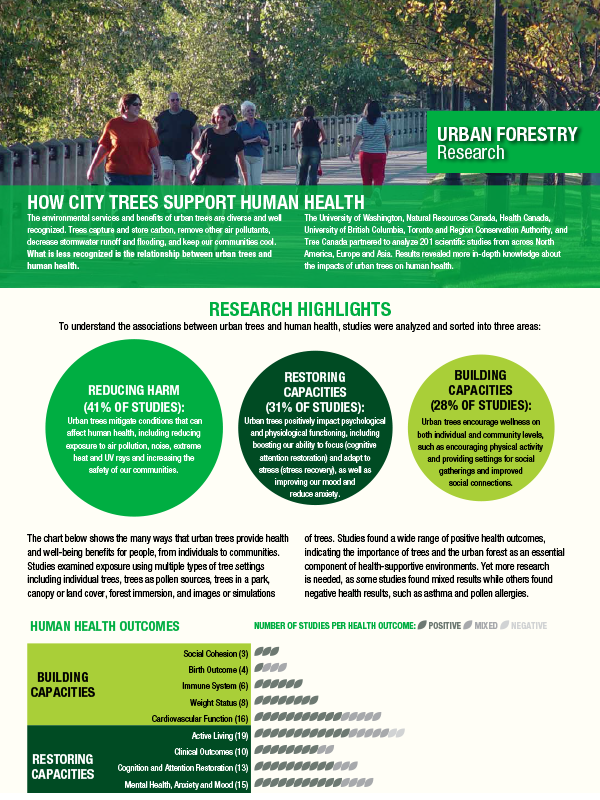 How City Trees Support Human Health cover
